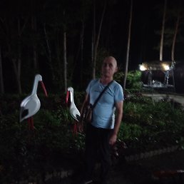 �����, 53 ����, �����������