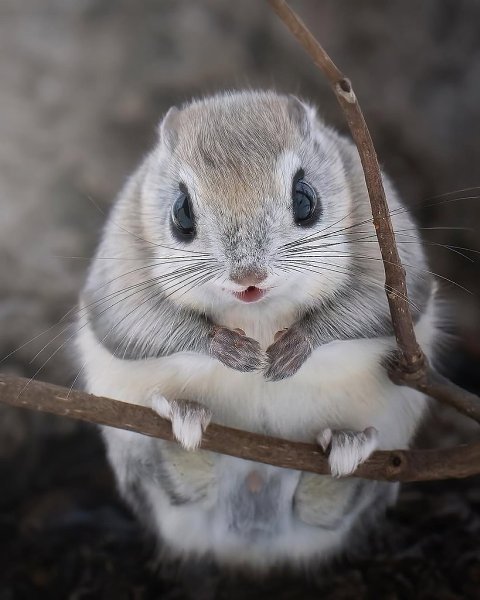   - -  . Ÿ   ,     ... - 5