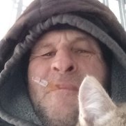 ������, 56 ���, ������