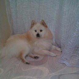 Mariya, ���������, 38 ���