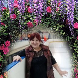 ���� ������, ����������, 71 ��� - ��������� 28 ������� 2023