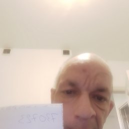 ���� ���������� ���������, 38 ���, ������������