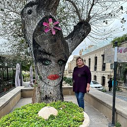 �������, �����, 37 ���