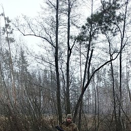 ������, 36 ���, ������