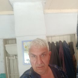�����, 58 ���, ���