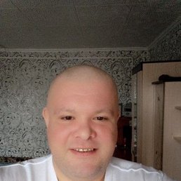 ������, 41 ���, �������