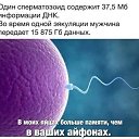 ���� �����, �������, 51 ��� - ��������� 21 ������ 2026 � ������ ������ ��������