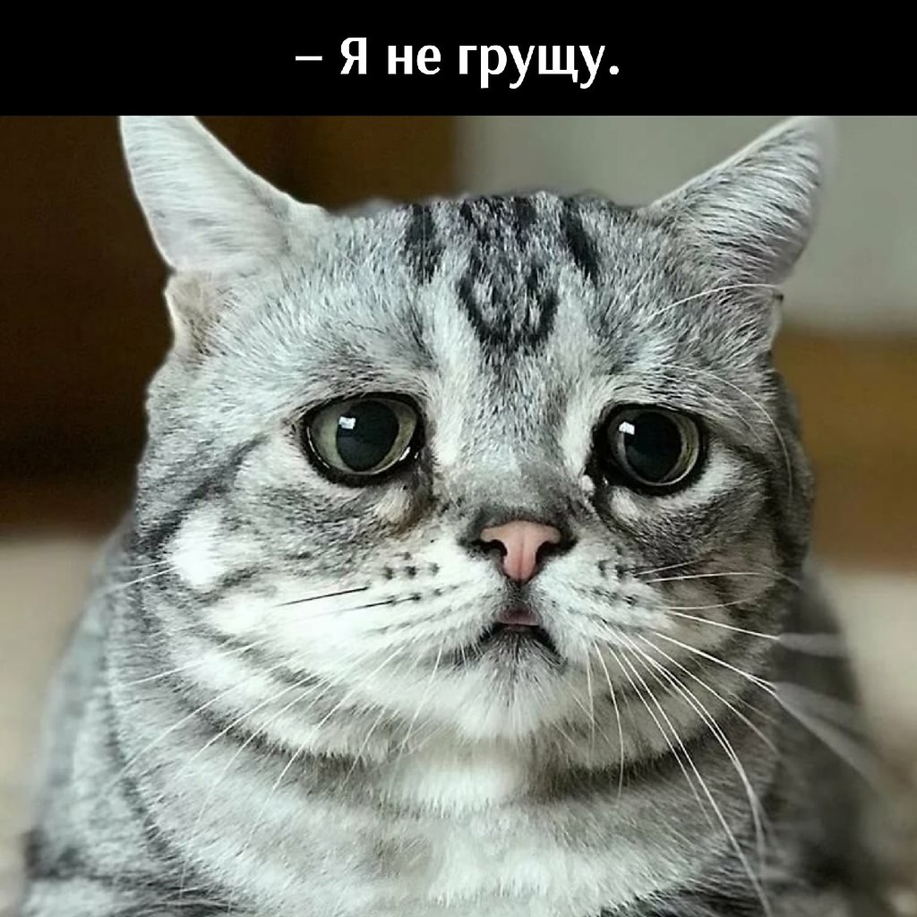       - 29  2025  10:38 - 2