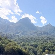 ������, 43 ����, ���������