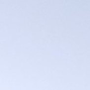 �����, 35 ���, �����