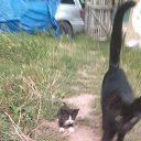 ���� ���, ������ - ��������� 7 �������� 2024