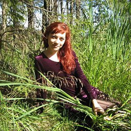 ����, 44 ����, ������