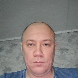 �����, 40 ���, ����������
