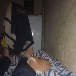 ���� �����, ����, 42 ���� - ��������� 24 ������� 2024