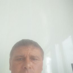 , 33 , 
