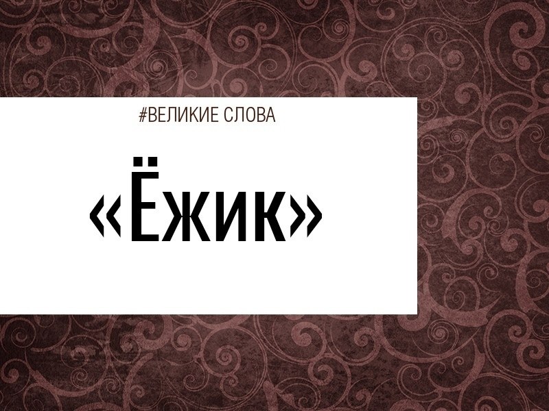 Папе было сорок лет, Славику - десять, ежику - и того меньше. Славик притащил ежика в шапке, побежал ...