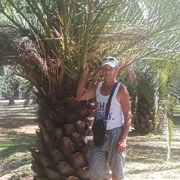 ��������, �������, 54 ����