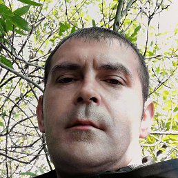 ������, �����-���������, 43 ����