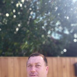 ������� ������������, 37 ���, �����