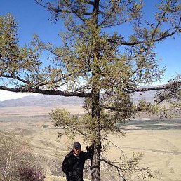 �����, ������, 60 ���