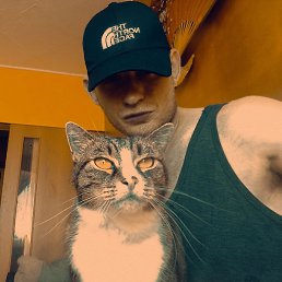 ������, ����������, 34 ����