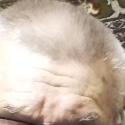 ������, ������, 75 ���