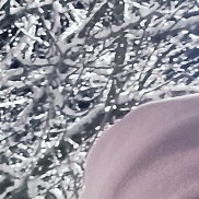 ������, 33 ����, ����