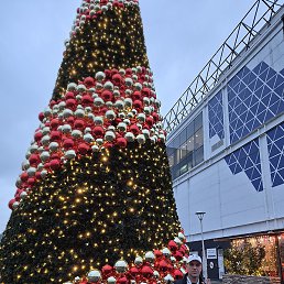 �������, ����, 41 ���