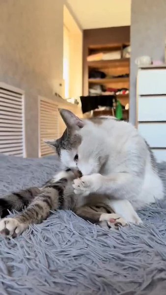 � �����, � ���� � ������ ����� �� ������� - 2