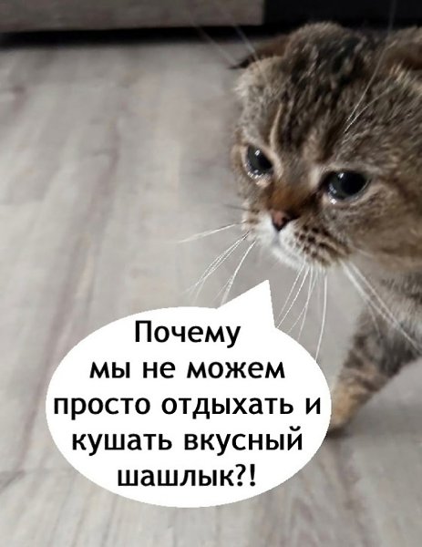   - 2