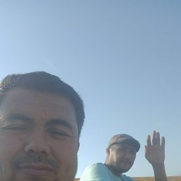 ����, 28 ���, ������