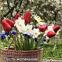 ���� ���� ��������, ������, 72 ���� - ��������� 15 ��� 2026 � ������ ������ ��������