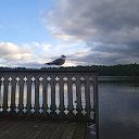 ���� ������, ������ - ��������� 30 ������� 2026 � ������ ���� ����������