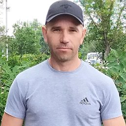 ��������, 43 ����, ��������