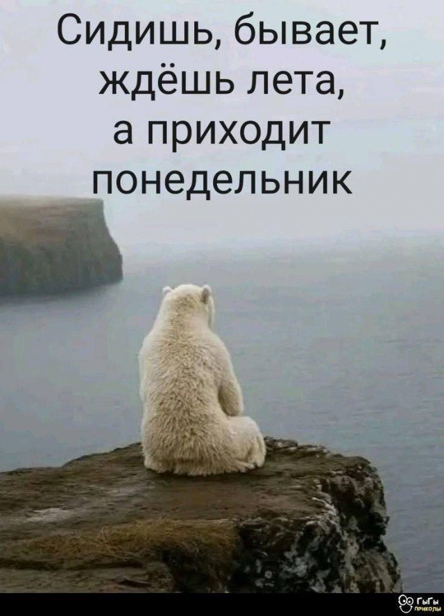��� ���� - 1 ���� 2026 � 16:48