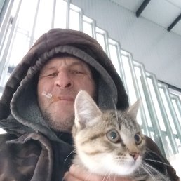 ������, 55 ���, ������