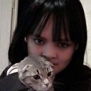 ���� �������, �����, 33 ���� - ��������� 12 ������� 2026