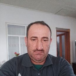 , 52, 