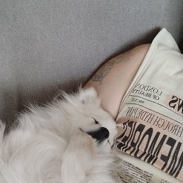 ������� �������, ������, 57 ���