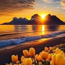 ���� ������, ��������, 104 ���� - ��������� 15 ������� 2025 � ������ ������ ��������