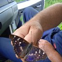 ���� �������, �����-���������, 60 ��� - ��������� 12 ������ 2023