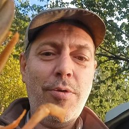 .. ,�����, ������������, 49 ���