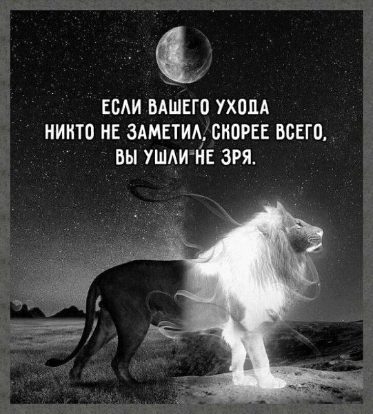 ☆ ☆ - 3  2024  20:21