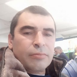 �������, ����, 48 ���