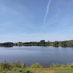 ������, �����