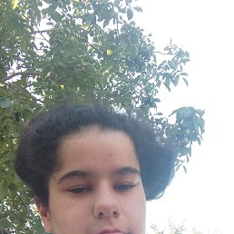 , 22, 