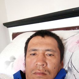 , 33, 