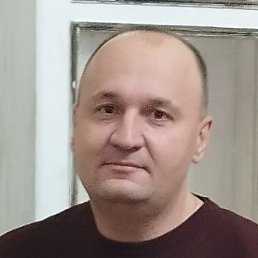 �������, ��������, 41 ���