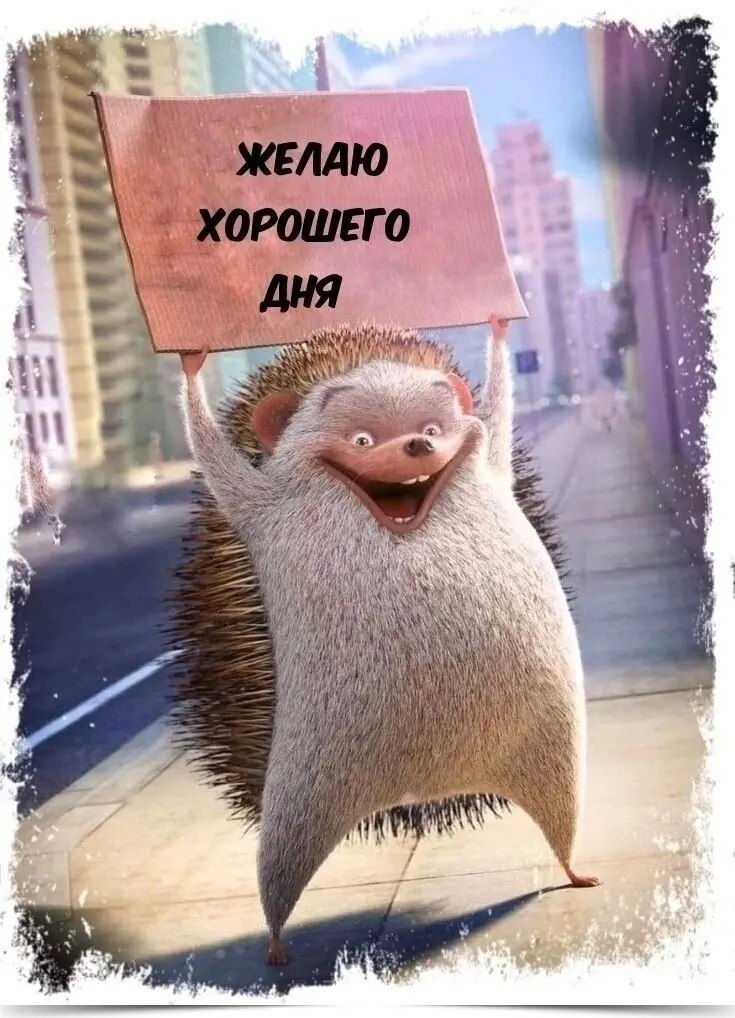 , ,  !     !      . ...