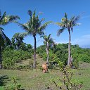 ���� ����, ������, 55 ��� - ��������� 25 ������ 2025 � ������ ������ ��������